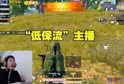 和平精英队友开挂会连累自己吗_和平精英体验服开挂会封吗