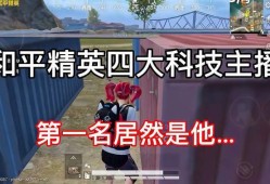 和平精英透视调整指南：游戏中的视觉优化技巧_和平精英怎么调透视