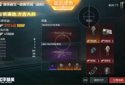 和平精英COCO直装辅助