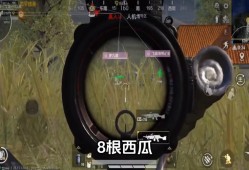 《揭秘和平精英猛牛内部透视v3：游戏技巧、攻略及争议解析》_和平精英猛牛内部透视v3