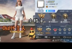 和平精英怎么举报开挂_和平精英开外挂不被举报