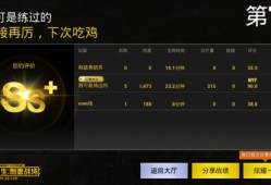《和平精英中表现最出众的辅助角色解析》_和平精英哪个辅助最厉害