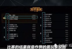 和平精英职业选手开挂的后果：名誉扫地与生涯尽毁的警示_和平精英职业选手开挂后果