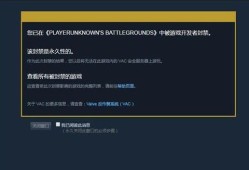 茶茶和平精英辅助官网_和平精英辅助超级