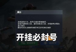 和平精英使用外挂是否会被封号？游戏安全与个人诚信的重要性_和平精英开外挂封号吗