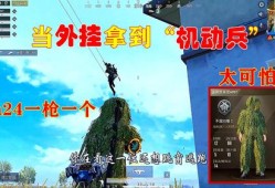 和平精英不知道队友是挂怎么办_和平精英开外挂队友震惊