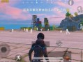 和平精英按键怎么设置最好_和平精英辅助按键怎么开