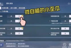 【揭秘和平精英透视操作设置，让你在游戏中无所遁形！】_和平精英透视操作怎么设置