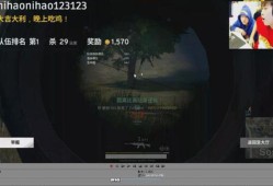 和平精英锁头挂_和平精英小五哥开挂