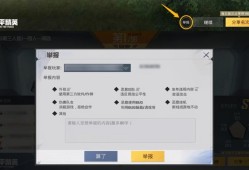 和平精英局内语音聊天怎么设置_和平精英透视镜头语音怎么设置