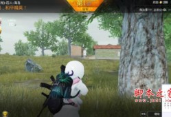 天神和平精英_和平精英天神透视