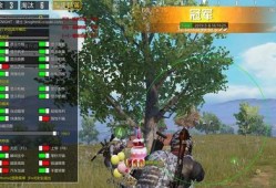 和平精英伞兵在哪里直播_和平精英伞兵遇挂