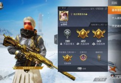 和平精英挂多吗_和平精英四排挂多吗