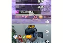 和平精英直播是否应该挂直播内容解析与建议（权衡利弊）_和平精英直播要不要挂