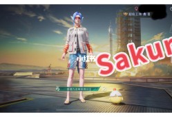 和平精英平底锅模式怎么开_和平精英开挂用平底锅
