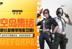 《警惕虚假售卖游戏辅助软件的危害——关于淘宝卖家提供和平精英游戏辅助真实性的问题探究》_淘宝卖和平精英辅助的真