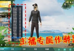 诸神之战和平精英多功能辅助_和平精英神修辅助