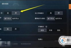 和平精英怎么巡查?_和平精英怎么打开巡查外挂