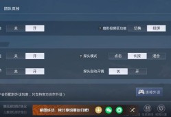 和平精英透视在哪里买?_和平精英透视qq群有人买过吗