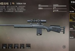 和平精英里面最好的狙击枪是什么_和平精英外挂一样的狙击枪