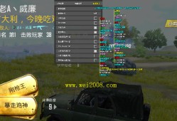和平精英什么挂最稳_和平精英外挂什么时候最多