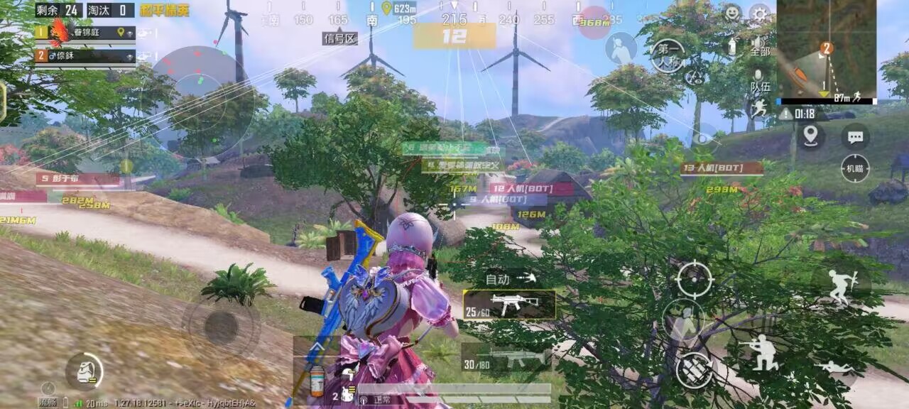 和平精英火焰鸟直装辅助  第1张