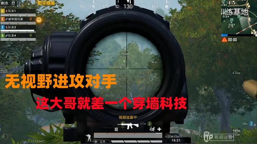 和平精英的辅助器_和平精英脉冲辅助器怎么开  第1张
