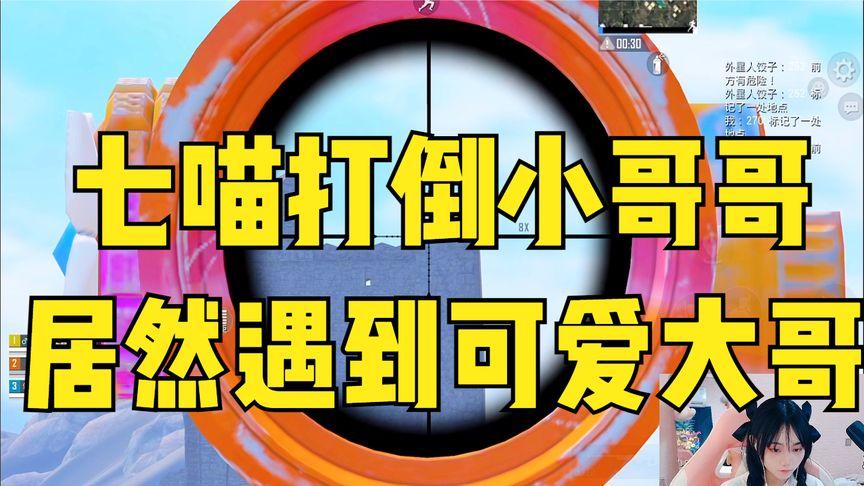 猫七和平精英_和平精英七猫科技有限公司  第1张