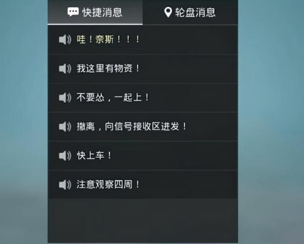 【揭秘和平精英自瞄功能的使用技巧与操作细节】——让你的游戏操作更加得心应手_和平精英怎样开自瞄功能  第2张