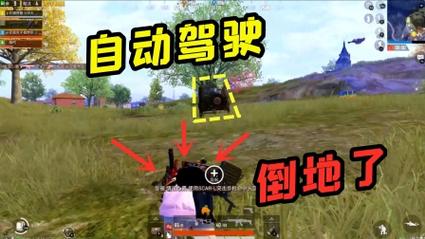 和平精英开车遭遇瞬秒外挂：揭露问题、危害与解决方案_和平精英开车被瞬秒的挂  第1张