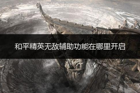 和平精英透视3元挂_和平精英黑玫瑰透视挂软件  第2张