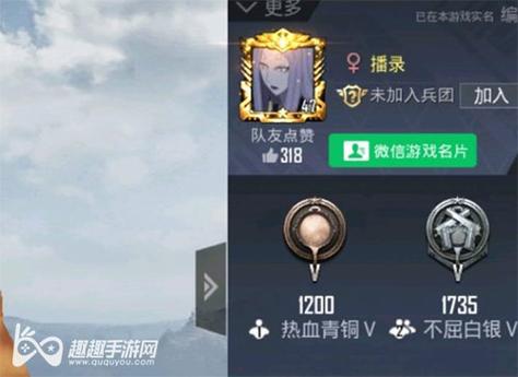 解决和平精英游戏中喵咪咪自瞄无反应问题的全面指南_和平精英喵咪咪自瞄没反应  第1张