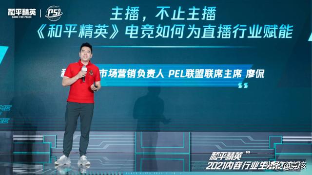和平精英科技辅助_和平精英律师科技  第2张