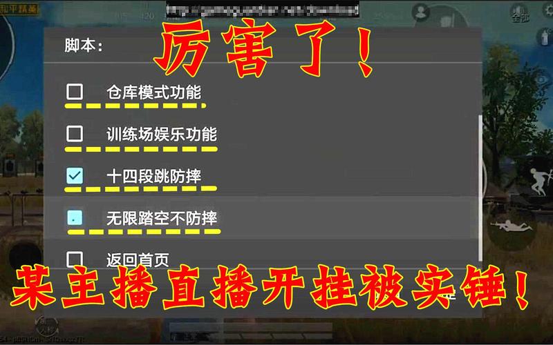 和平精英自瞄挂什么意思_和平精英外挂术语  第1张