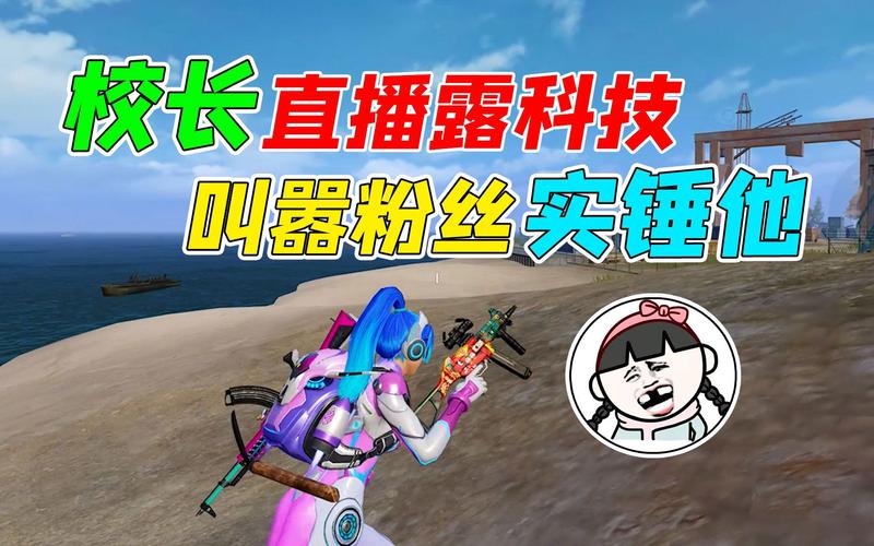 和平精英自瞄瞬狙设置指南：提升射击技能与命中率_和平精英自瞄瞬狙怎么设置  第1张