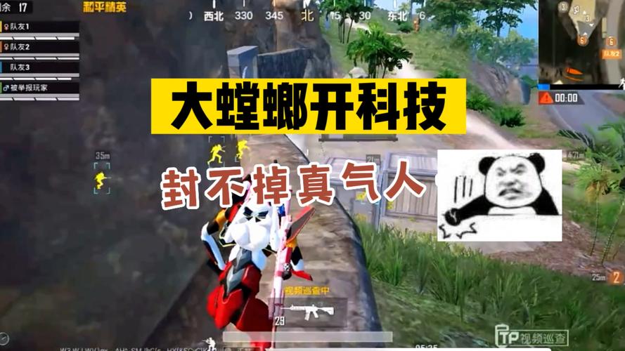 海豚遇到鲨鱼怎么办_鲨鱼遇到外挂化身和平使者  第1张