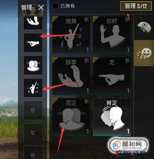 《和平精英：游戏内开启跳舞功能的开挂指南》_和平精英怎么开挂跳舞  第1张