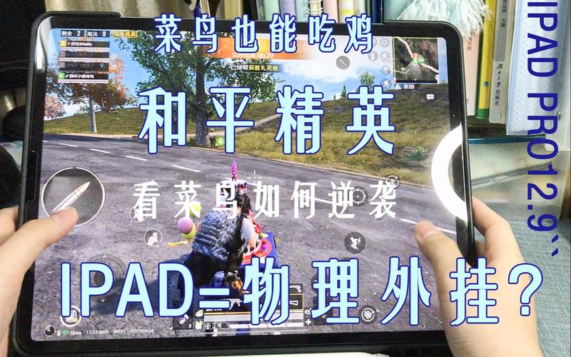 关于《外挂监测员和平精英：公平游戏环境的守护者》的思考与探讨_外挂监测员和平精英  第1张