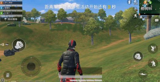 和平精英除草辅助_和平精英除草自瞄辅助防封  第1张