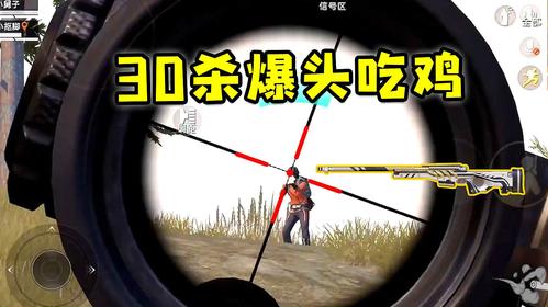 和平精英外挂跳枪爆头揭秘：游戏技巧与伦理道德的探讨_和平精英外挂跳枪爆头  第1张