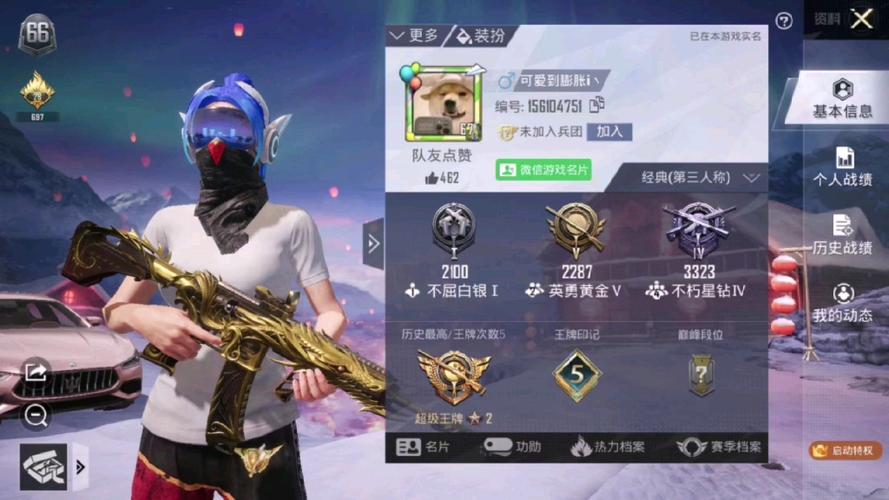 手机与和平精英中的语音辅助：游戏沟通的新境界_手机和平精英语音辅助  第1张