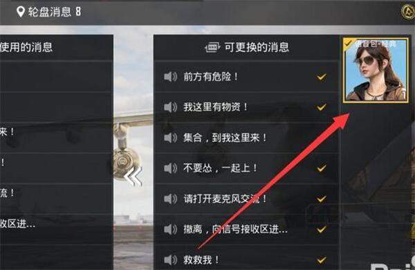 揭秘和平精英外挂：整局视频外挂的使用与风险探讨_和平精英整局视频外挂  第1张