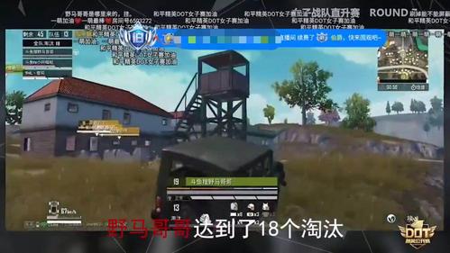 和平精英透视眼_和平精英如何开启透视眼观战模式  第1张