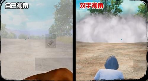 和平精英透视科技在哪里开_在和平精英里面怎么开透视  第2张