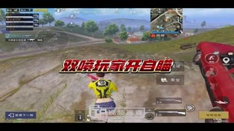和平精英除草辅助_和平精英取消辅助  第1张