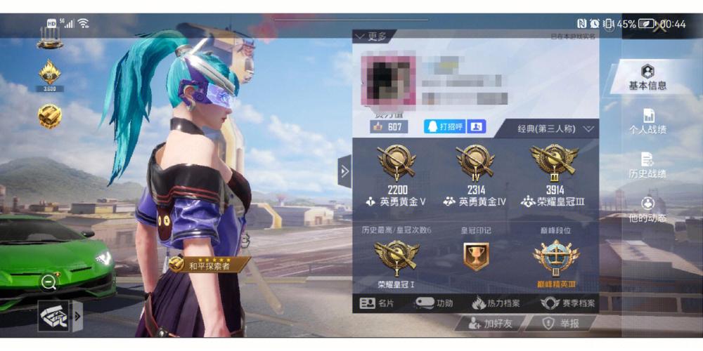 牢大和平精英怎么看_和平精英牢大科技被巡查到  第2张