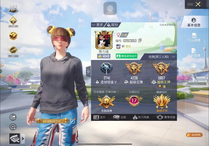 和平精英自动瞄准辅助下载_微自瞄和平精英ios  第2张