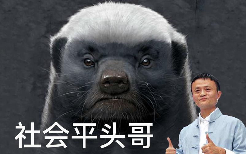 香肠派对平头哥鲨鱼哥_鲨鱼哥和平头哥开外挂  第1张