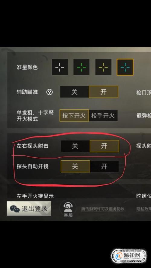 和平精英除了鸡腿还有什么_和平精英鸡腿自瞄怎么设置  第1张