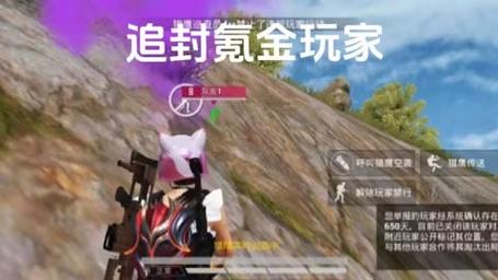 和平精英手游辅助器(免费)_和平精英辅助触控软件  第1张